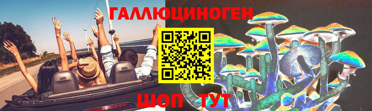 Галлюциногенные грибы прущие грибы  Псилоцибиновые грибы мухоморы  что такое   Егорьевск  Вход с VPN 