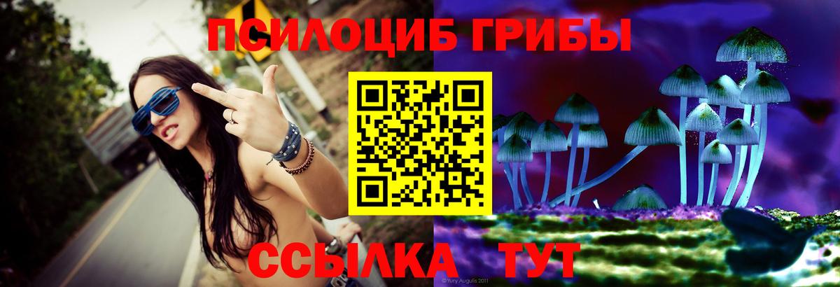 Галлюциногенные грибы ЛСД Егорьевск
