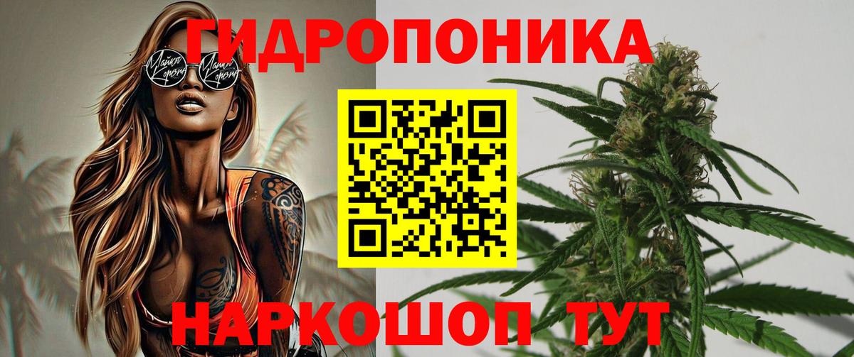 Бошки Шишки SATIVA & INDICA  Бошки марихуана LSD WEED  Егорьевск  Конопля гибрид  Вход с VPN 